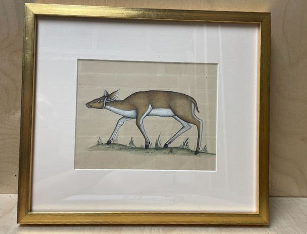 Nicky Kehoe - INDIAN ANIMAL PAINTING 7