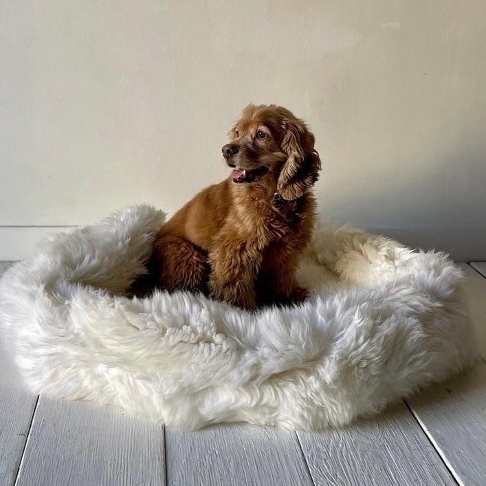 Nicky Kehoe - Irish Sheep Wool Pet Bed (Multiple Sizes)