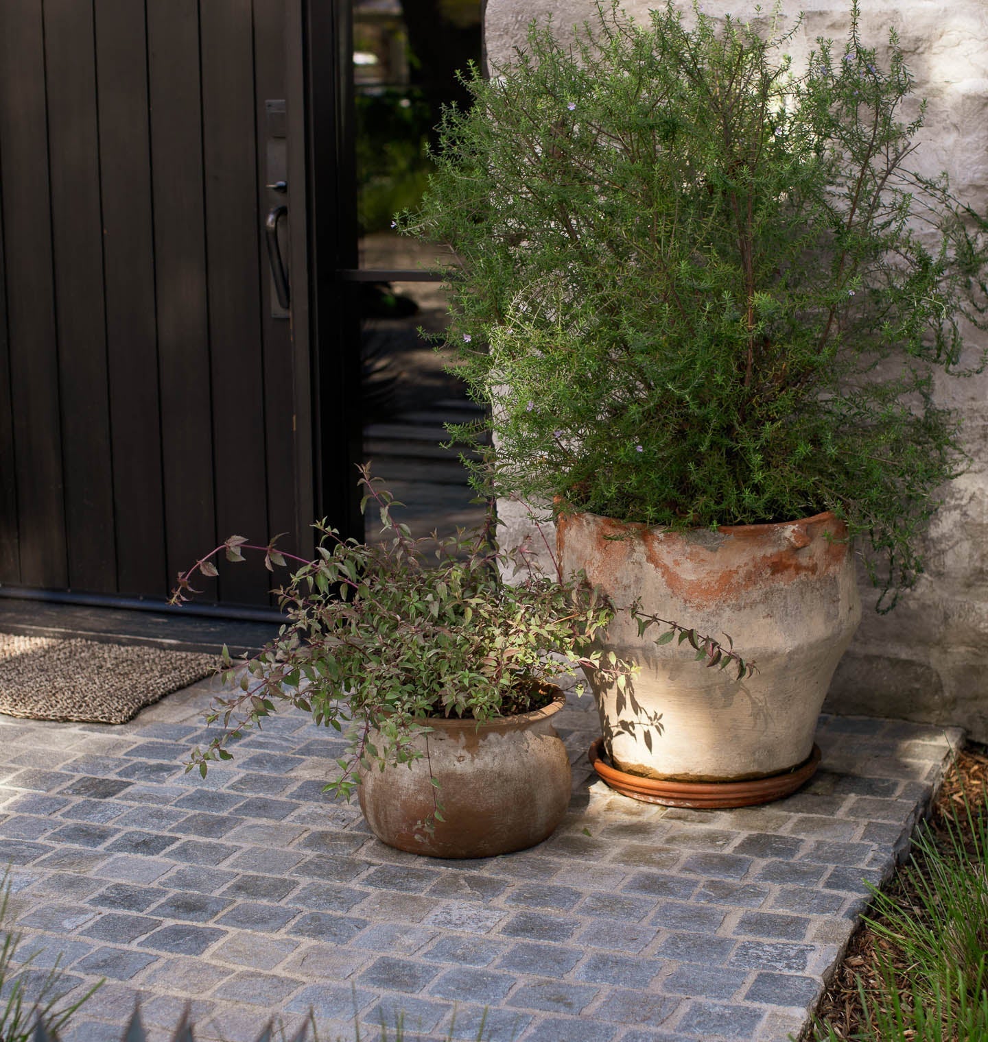 Amber Interiors - Classic Aged Planter
