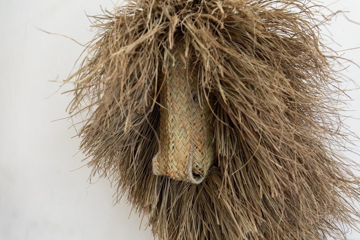 Nicky Kehoe - Ecological Trophy Lion (Multiple Sizes)