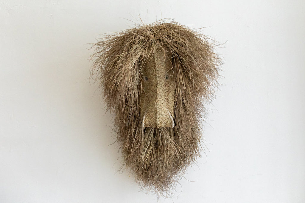 Nicky Kehoe - Ecological Trophy Lion (Multiple Sizes)