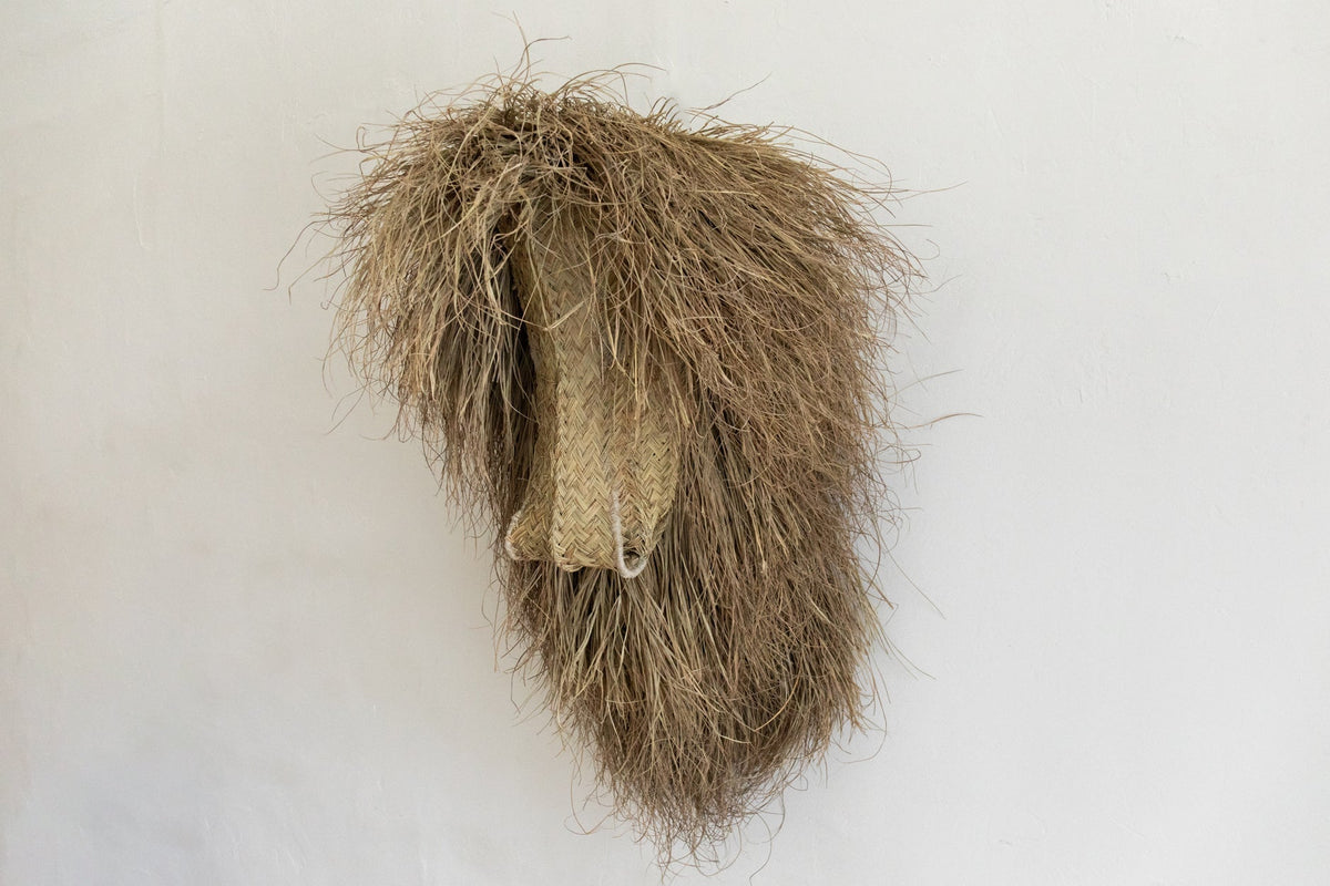 Nicky Kehoe - Ecological Trophy Lion (Multiple Sizes)