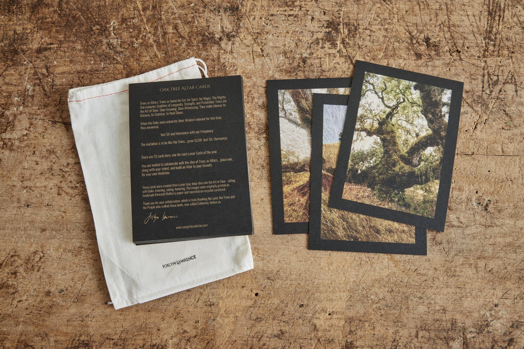 Nicky Kehoe - Oak Tree Altar Cards