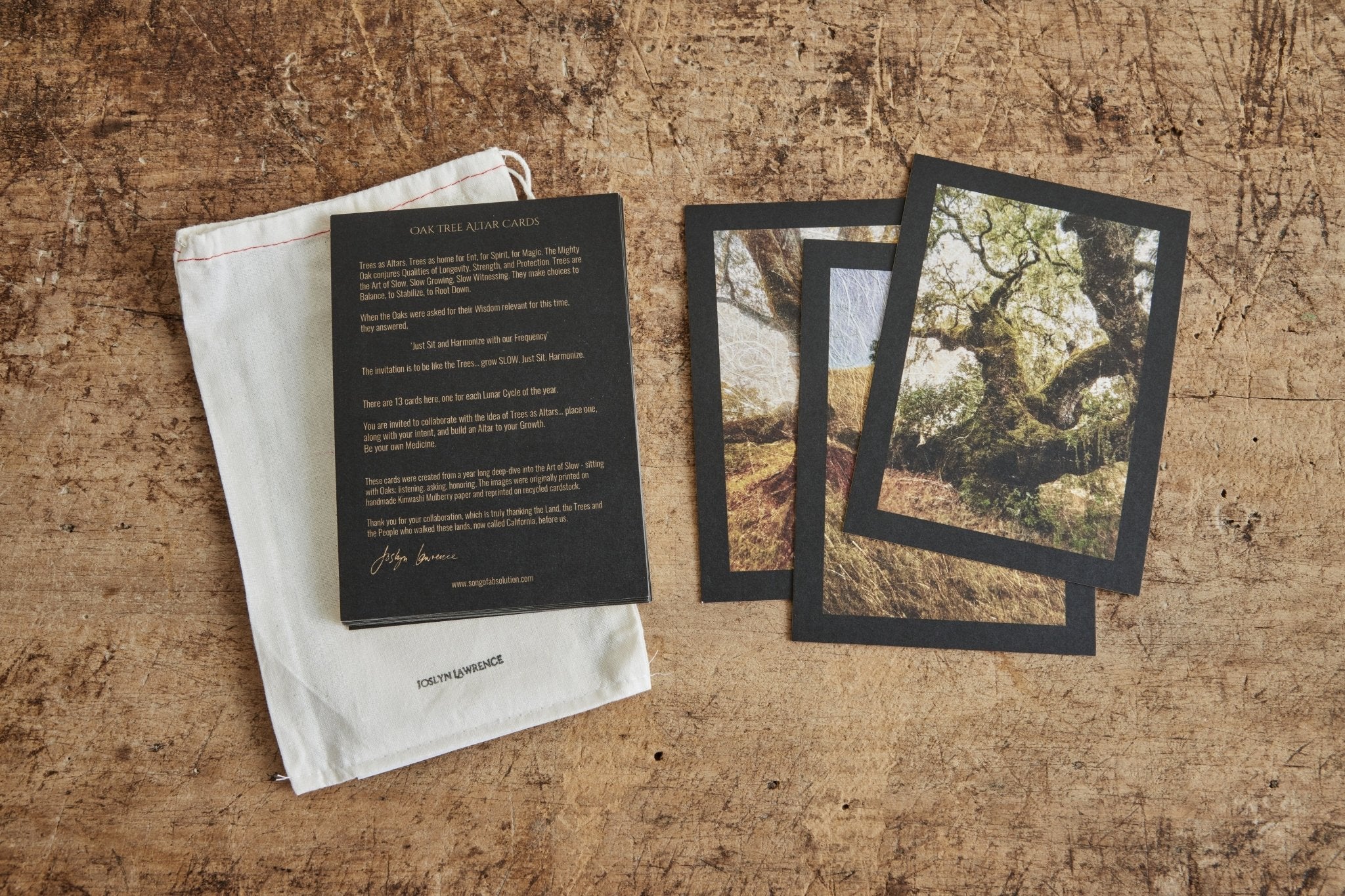 Nicky Kehoe - Oak Tree Altar Cards