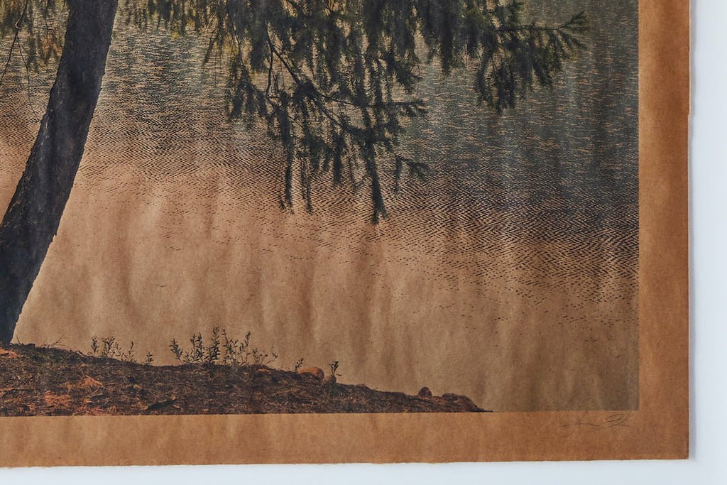 Nicky Kehoe - Summer Song Shasta California