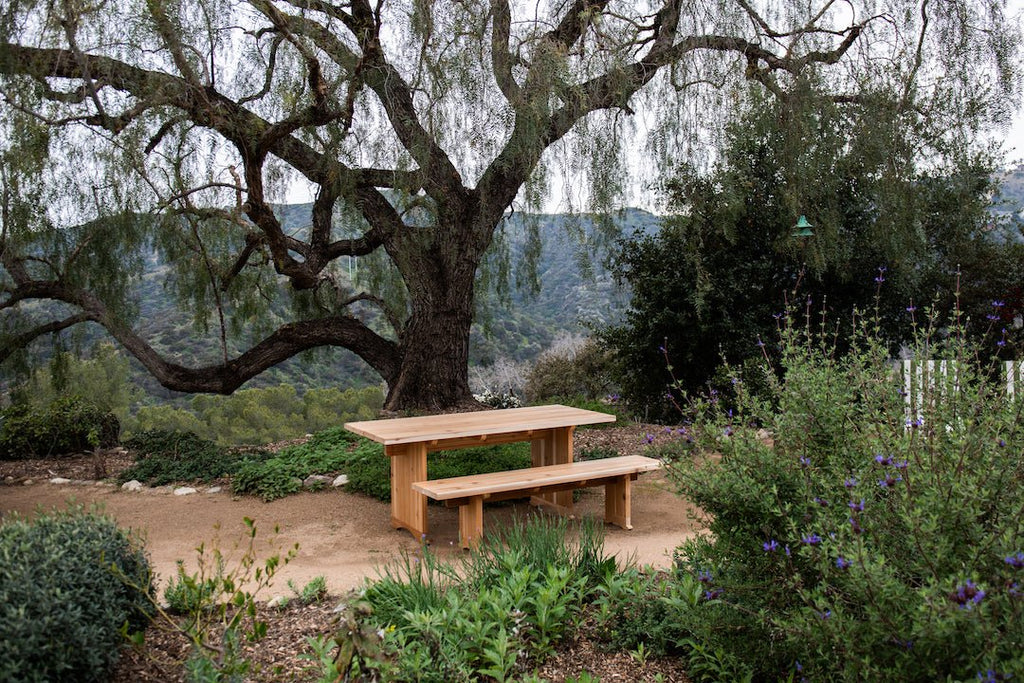 Nicky Kehoe - Plank Picnic Bench