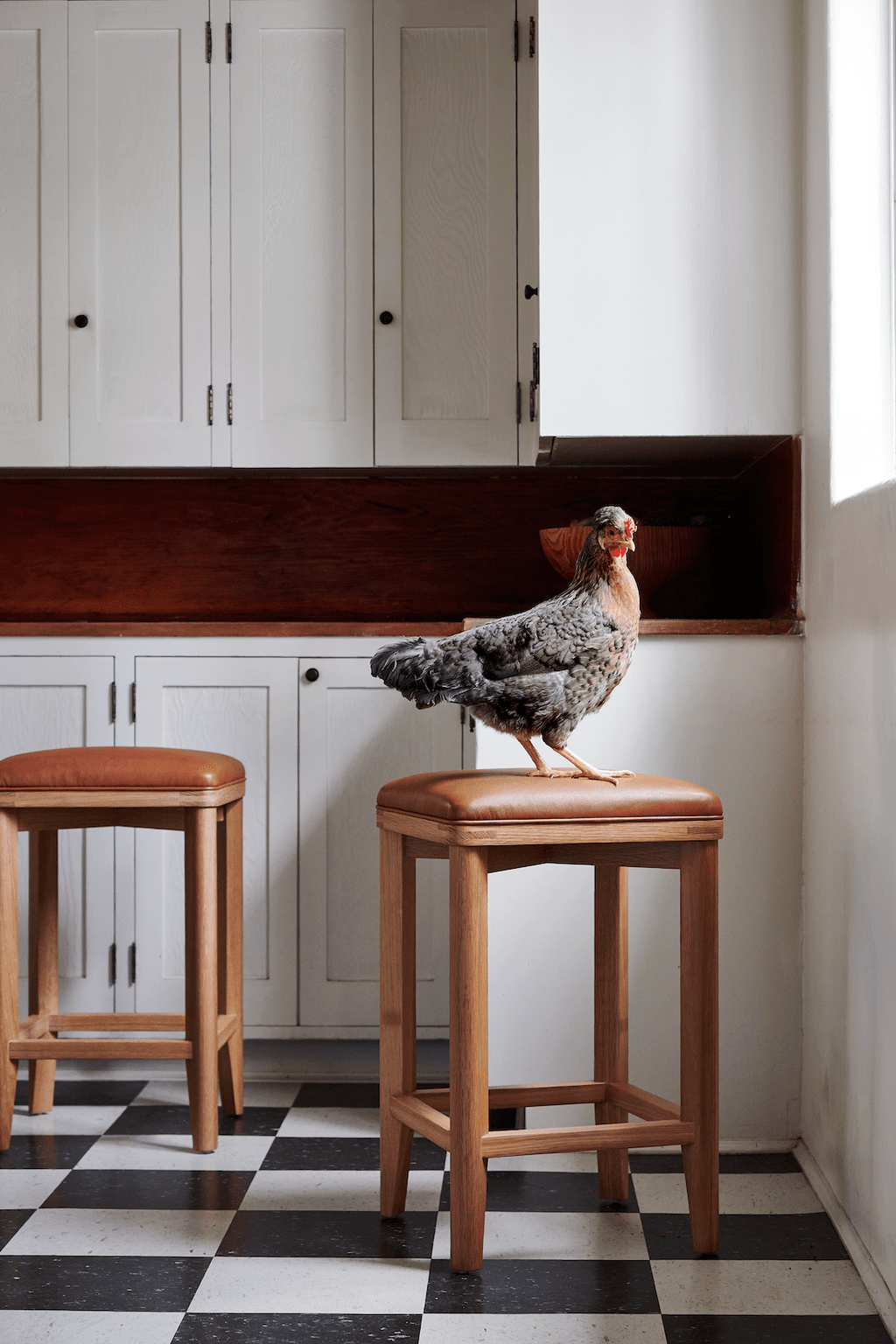 Nicky Kehoe - Upholstered Counter Stool
