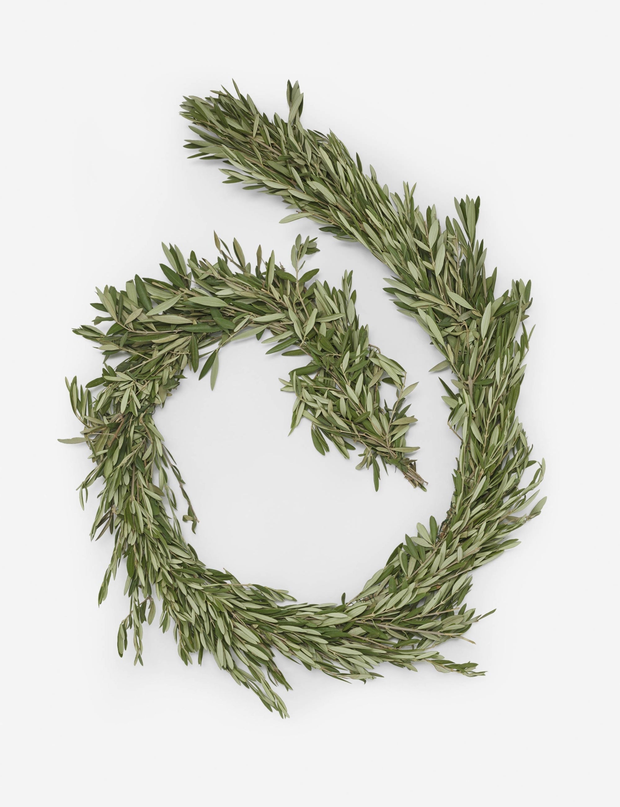 Lulu and Georgia - Fresh Handmade Olive Branch Garland