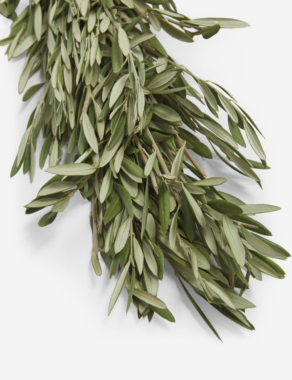 Lulu and Georgia - Fresh Handmade Olive Branch Garland