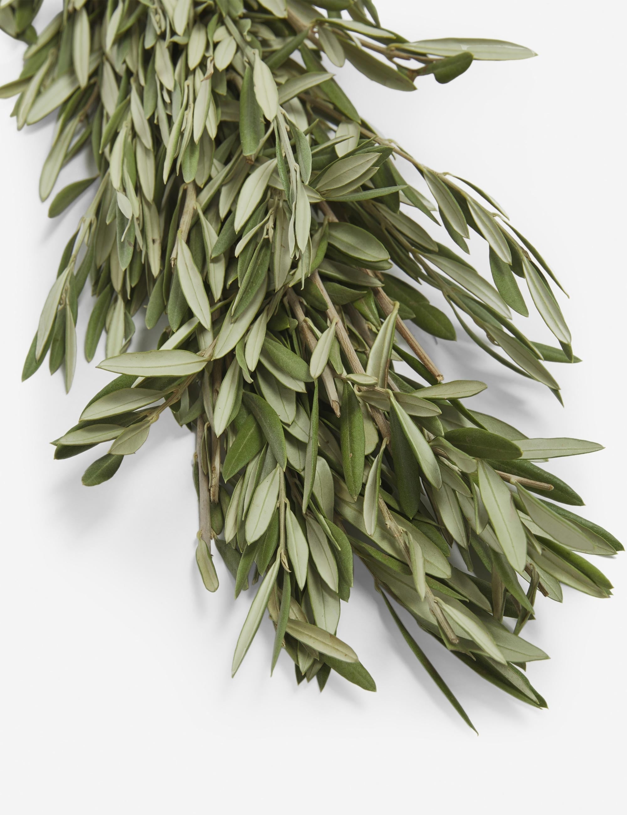 Lulu and Georgia - Fresh Handmade Olive Branch Garland