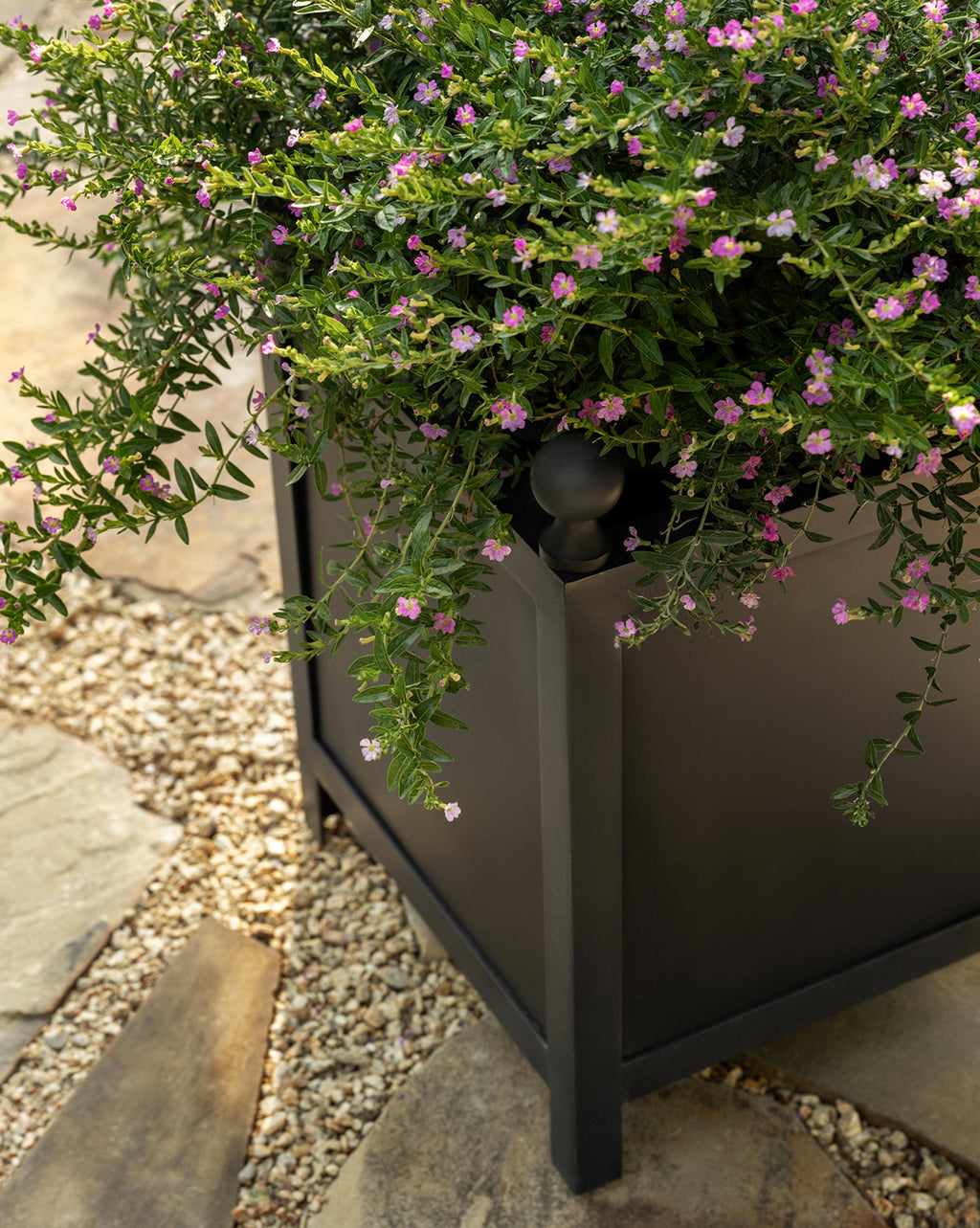 McGee & Co - Clariance Planter