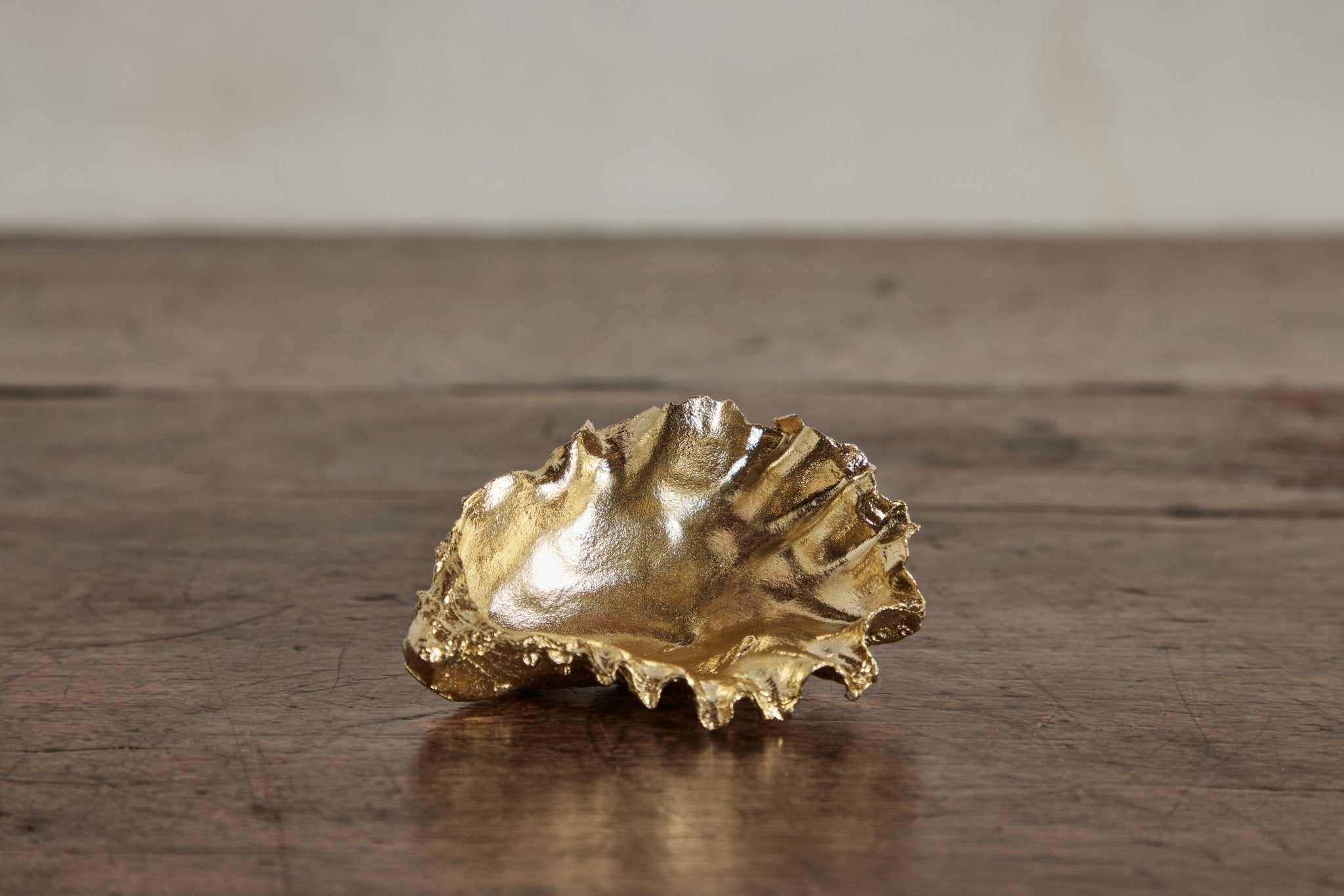 Nicky Kehoe - Brass Oyster Shell