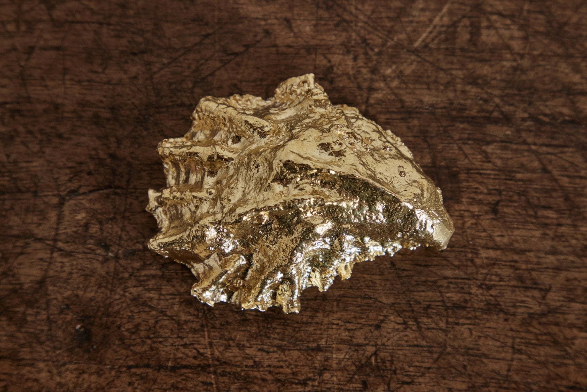Nicky Kehoe - Brass Oyster Shell