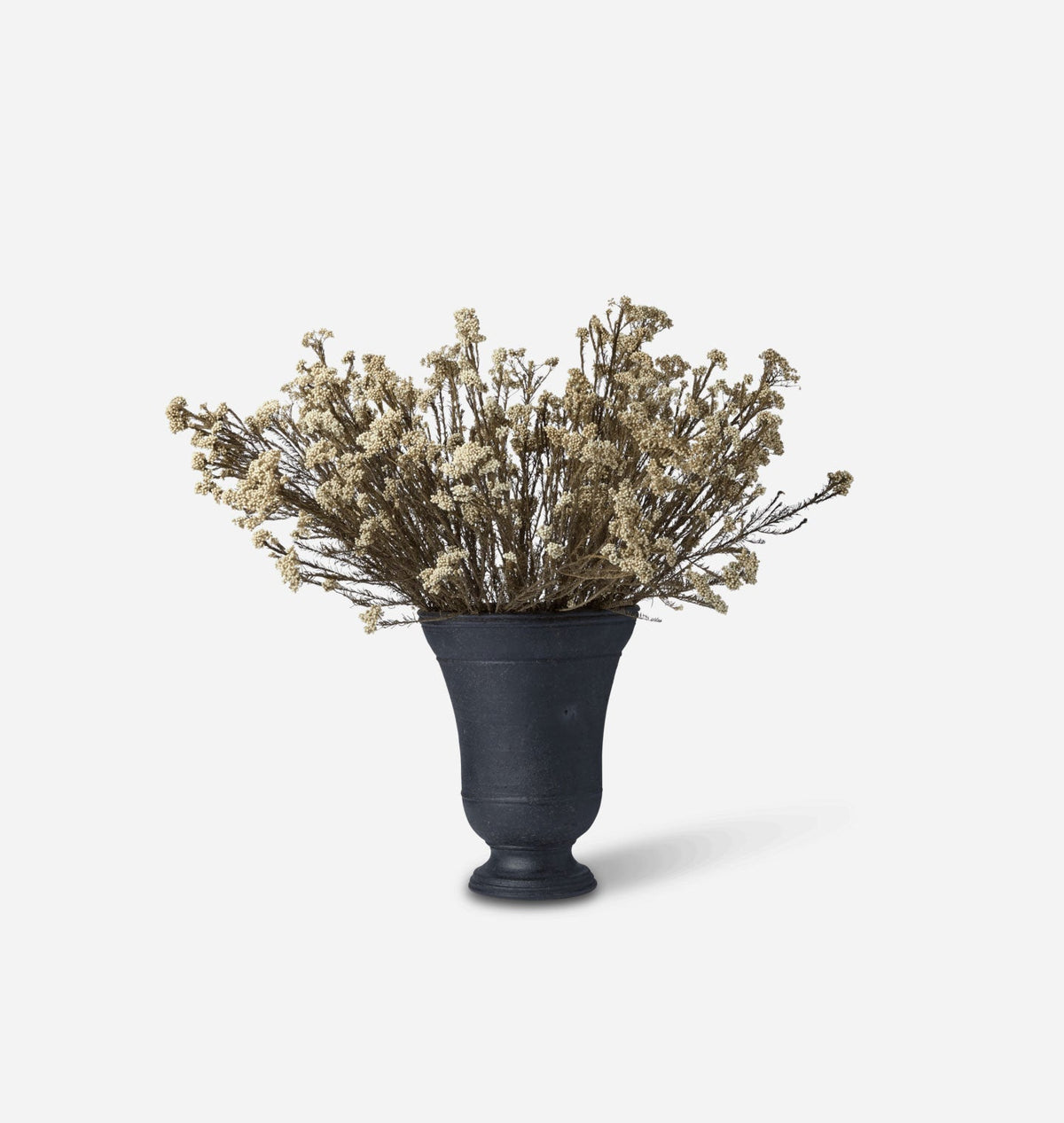 Amber Interiors - Dried White Rice Flower Bundle in Large Bergen Vase