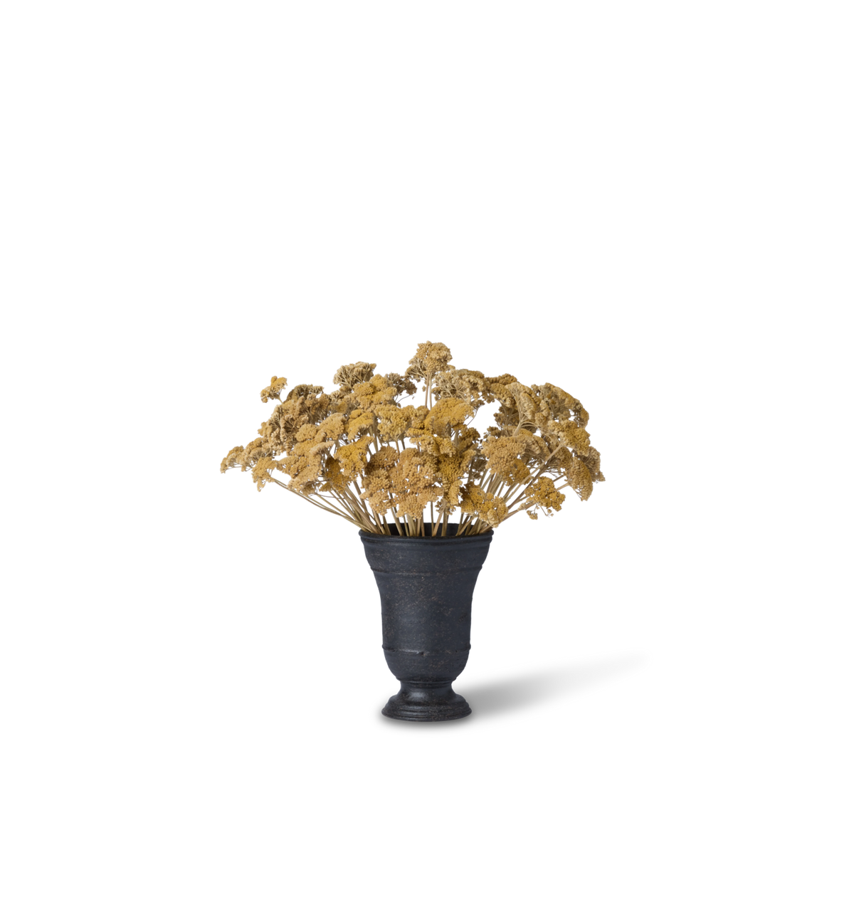 Amber Interiors - Dried Yarrow Bundle in Small Bergen Vase