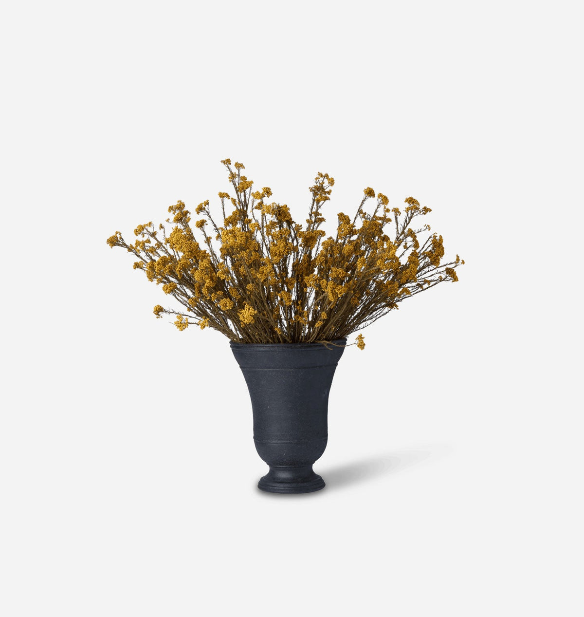 Amber Interiors - Dried Yellow Rice Flower Bundle in Large Bergen Vase